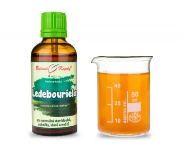 Ledebouriela (TCM) - gyógynövény cseppek (tinktúra) 50 ml