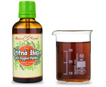 Pajzsmirigy túlműködés - gyógynövényes cseppek (tinktúra) 50 ml
