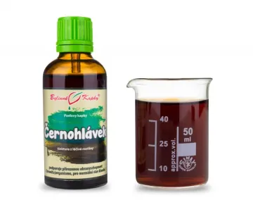 Gyíkfű - gyógynövény cseppek (tinktúra) 50 ml