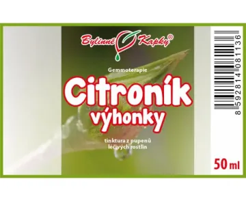 Vadcitrom hajtások - Gyógynövény cseppek - gemmoterápia (rügy- és fiatal hajtás tinktúra) 50 ml