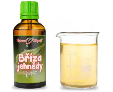 Nyírfa - barkatinktúra (gemmoterápia) 50 ml