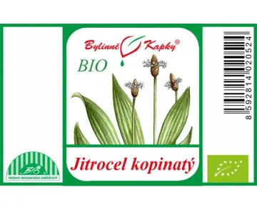 Lándzsás útifű BIO - gyógynövény cseppek (tinktúra) 50 ml