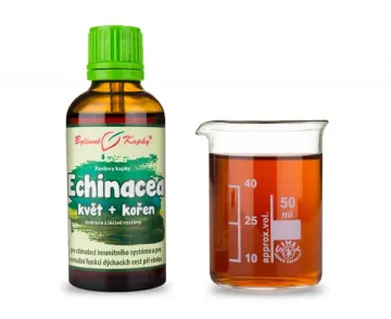 Kasvirág virágzó hajtás + gyökér (gyógynövény cseppek - tinktúra) 50 ml