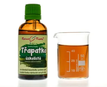 Echinacea angustifolia (keskenylevelű kasvirág) gyógynövény cseppek (tinktúra) 50 ml